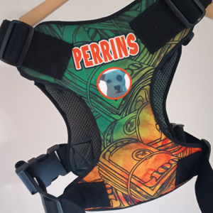 Pechera estilo chaleco personalizada